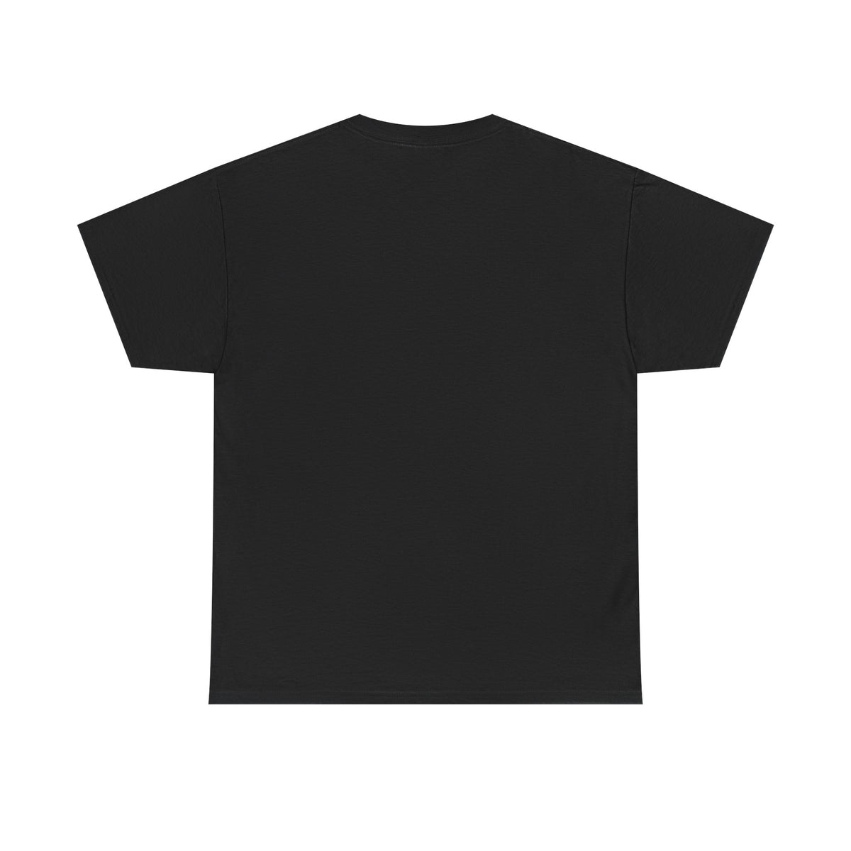 Seagull Graphic T-Shirt