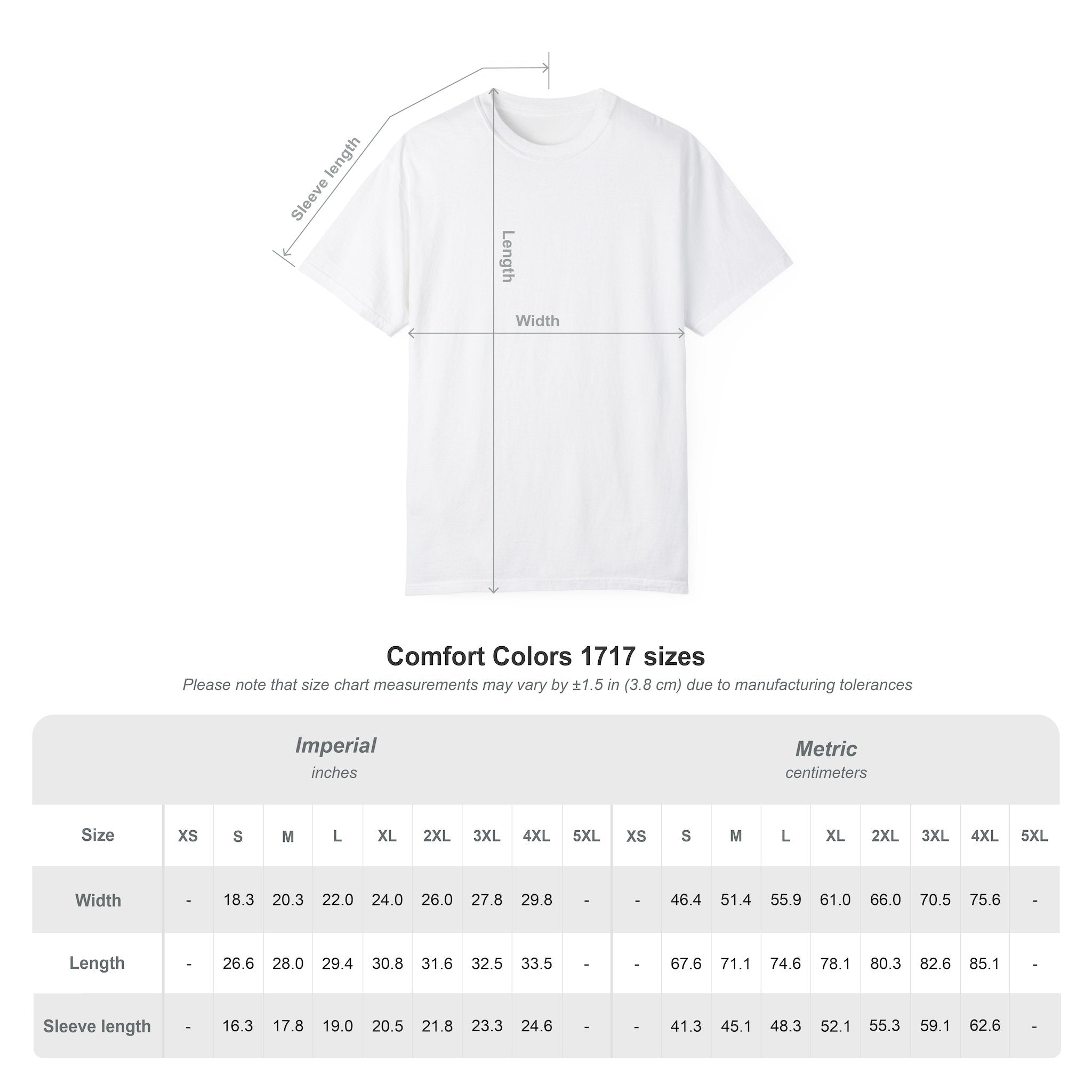 Seagull Graphic T-Shirt