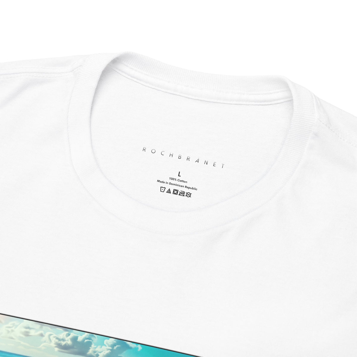 Seagull Graphic T-Shirt
