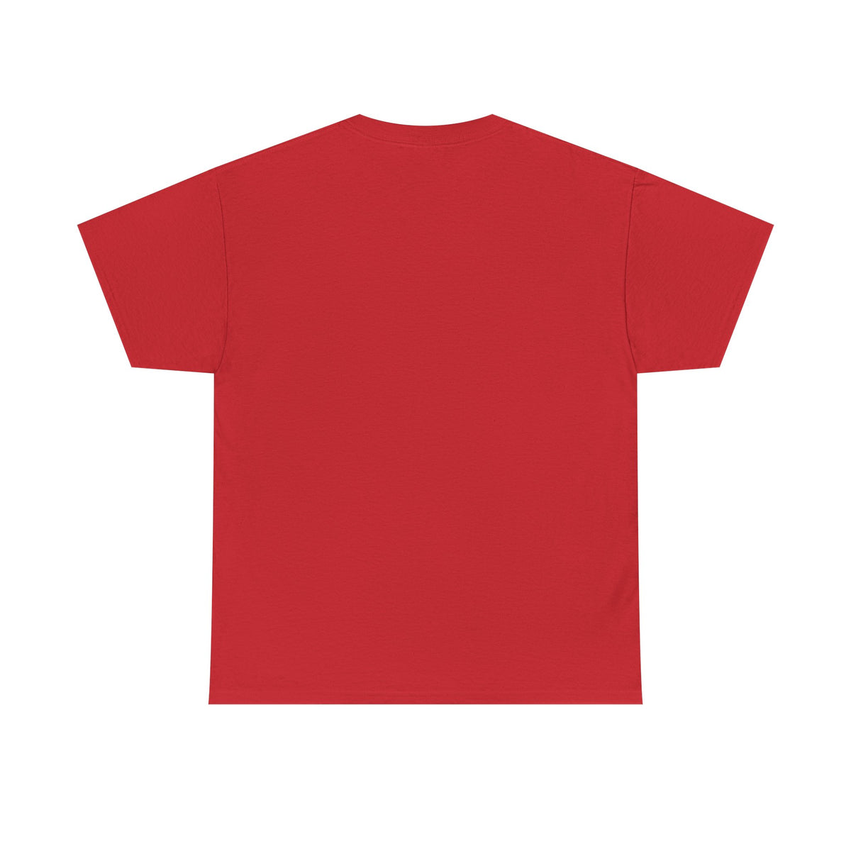 Seagull Graphic T-Shirt
